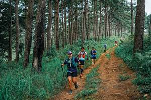 BIB: 
                            <button type="button" onclick="openModal(25662843)" class="btn btn-primary btn-sm float-right btn-popup" data-toggle="modal" data-target=".modal-high-quality">
                        <i class="fas fa-shopping-cart"></i> Add to Cart
                    </button>
                                            <button type="button" onclick="isThisMe(25662843, true)" class="btn btn-success btn-sm float-right btn-popup btn-isme hidden" data-toggle="tooltip" data-placement="bottom" title="นี่คือรูปของคุณใช่ไหม คลิกที่นี่เพื่อเอาเข้าอัลบั้ม">
                        <i class="fas fa-plus"></i> Add to album
                    </button>
                    <button type="button" onclick="isThisMe(25662843, false)" class="btn btn-warning btn-sm float-right btn-popup btn-isnotme hidden">
                        <i class="fas fa-ban"></i> Remove from album
                    </button>